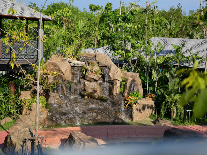 Tiger Gallery Image
