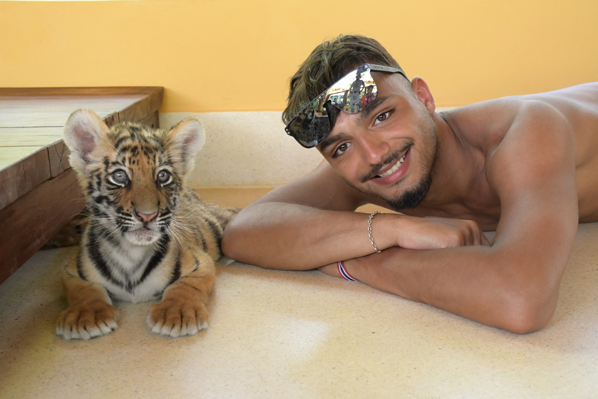 Tiger Gallery Image