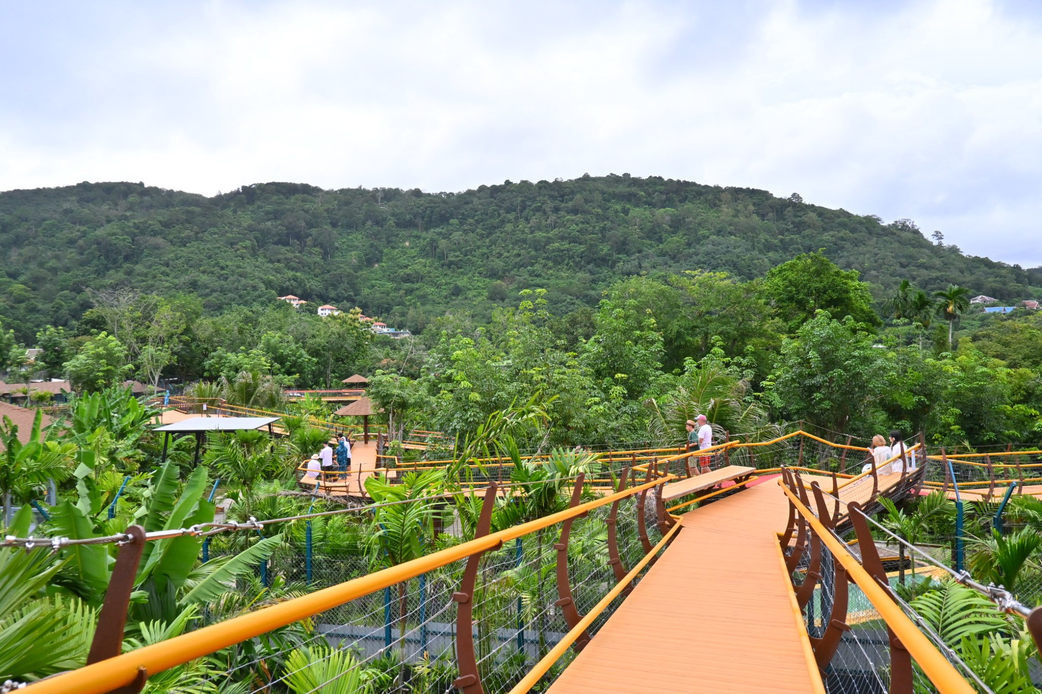 Tiger Gallery Image