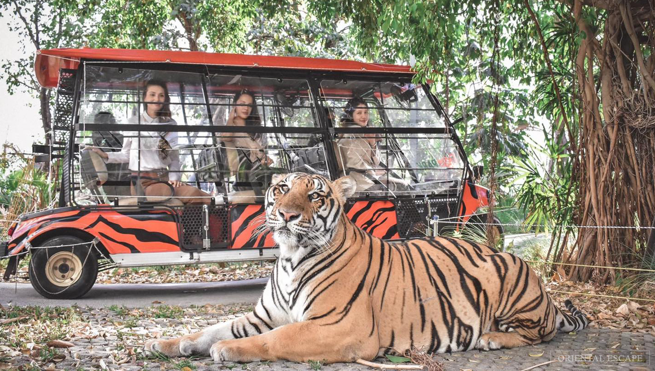 โฟเรสทฺ